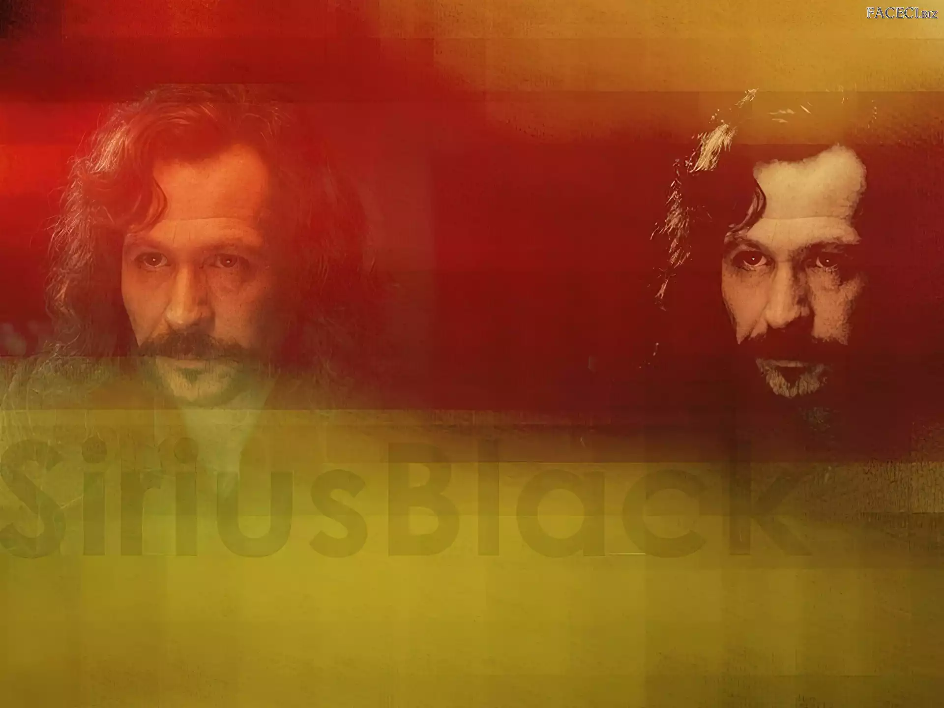 Gary Oldman, długie włosy