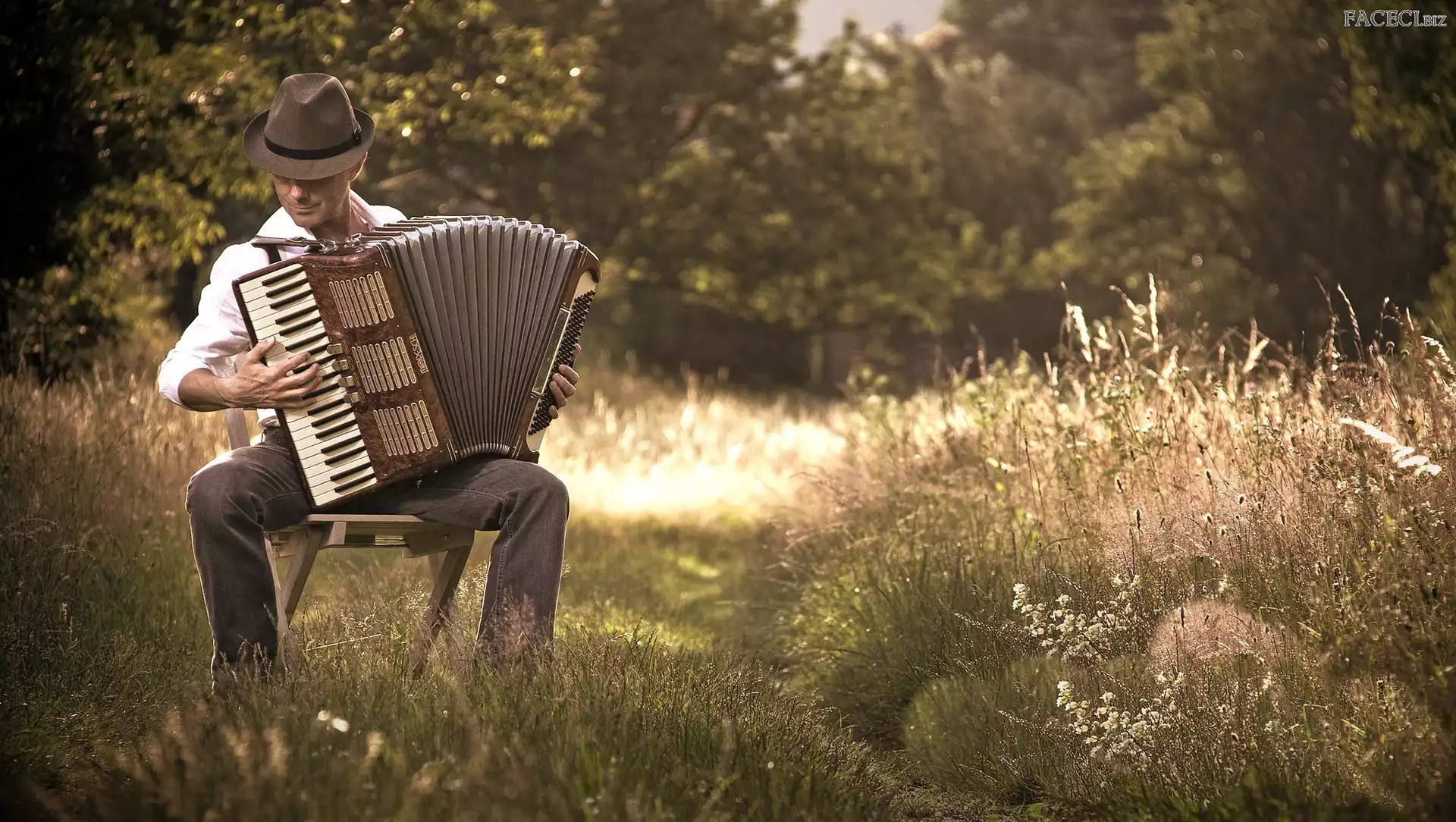 Kapelusz, Łąka, Mężczyzna, Akordeon